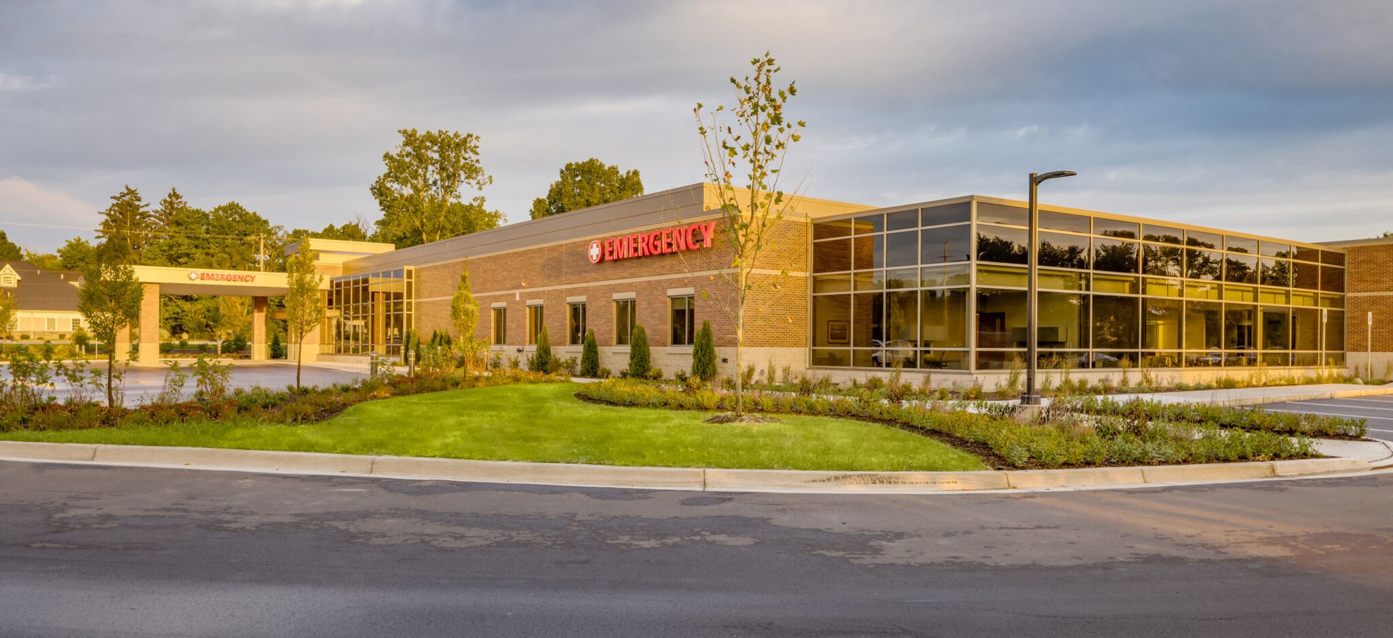 Insight Revolutionizing Healthcare Continued Development of the Free